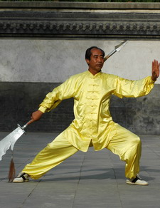 Chen village Taiji - Chenjiagou Tai Chi Austria